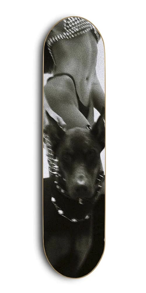 Design 27 skateboard wall art