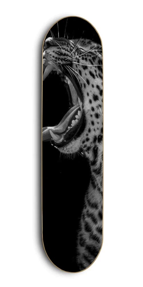 Design 32 skateboard wall art