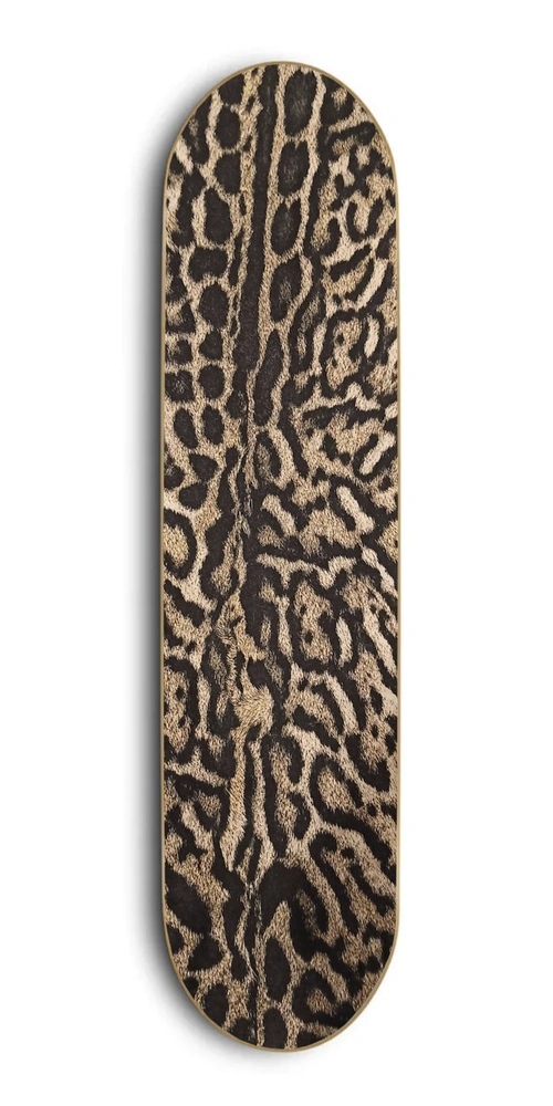 Design 6